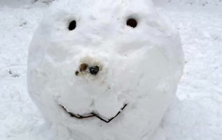 PHOTO-2026-01-30-09-25-48