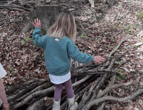 🌿✨ Mitmachangebot im offenen Forscherhaus ✨🌿