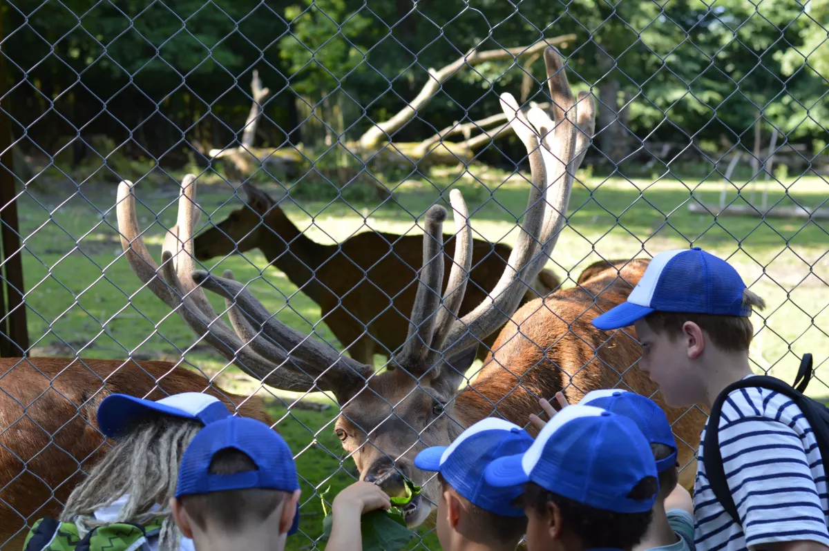 DSC_0066