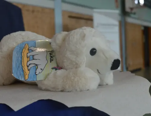 Willkommen, liebe Eisbären 🐻‍❄️